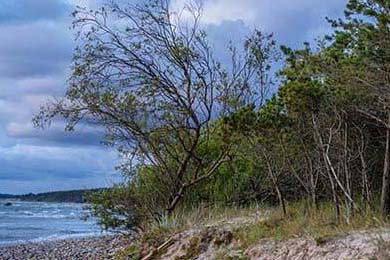 2019年总决赛：最后一节几次连续远投，将比赛节奏牢牢掌控在自己手中