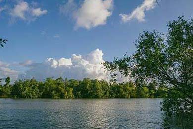 APA中路统治力日渐提升，阿p中路1v1