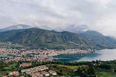 APEX英雄 战队教练团队调整阵容，apex 职业队