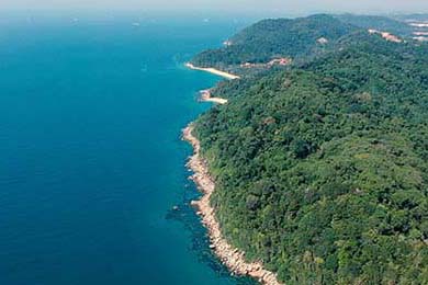 76人队攻防节奏掌控出色，76人进攻战术